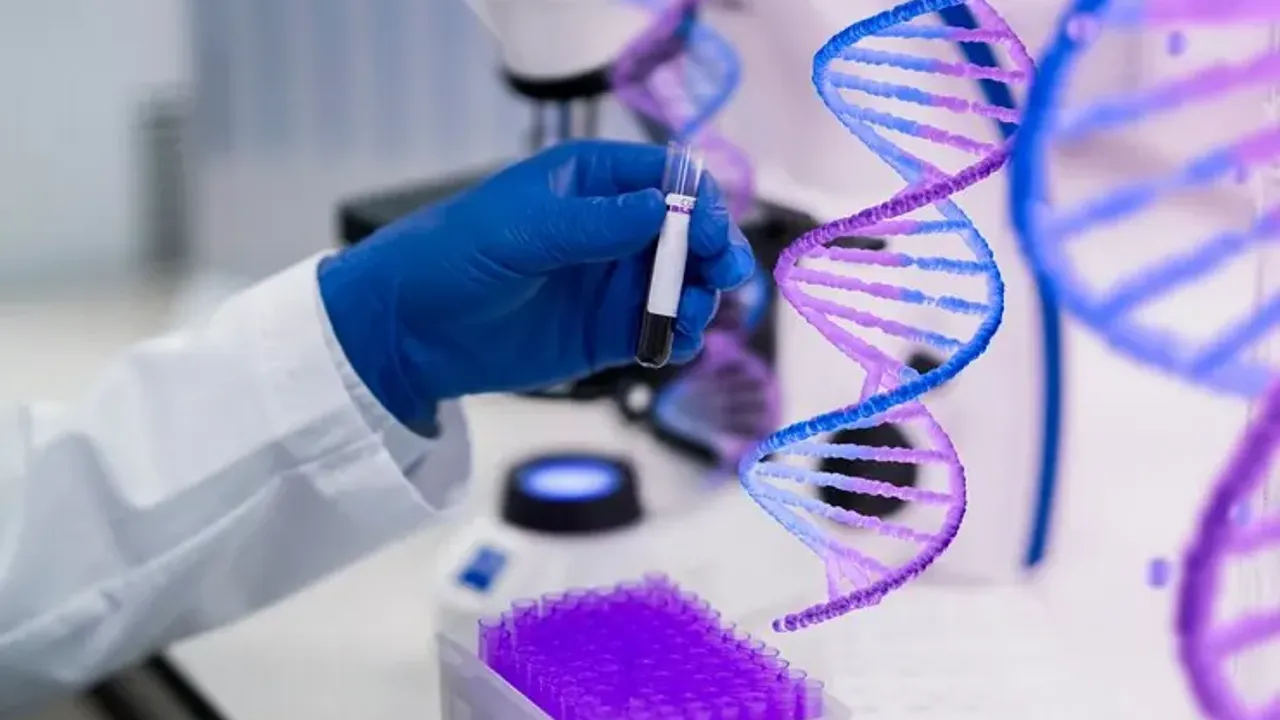 Bağırsak DNA'nızın Pasaportu