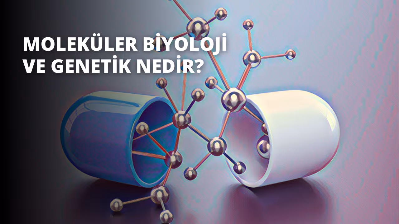 Moleküler Biyoloji ile Geleceğin Diyetleri