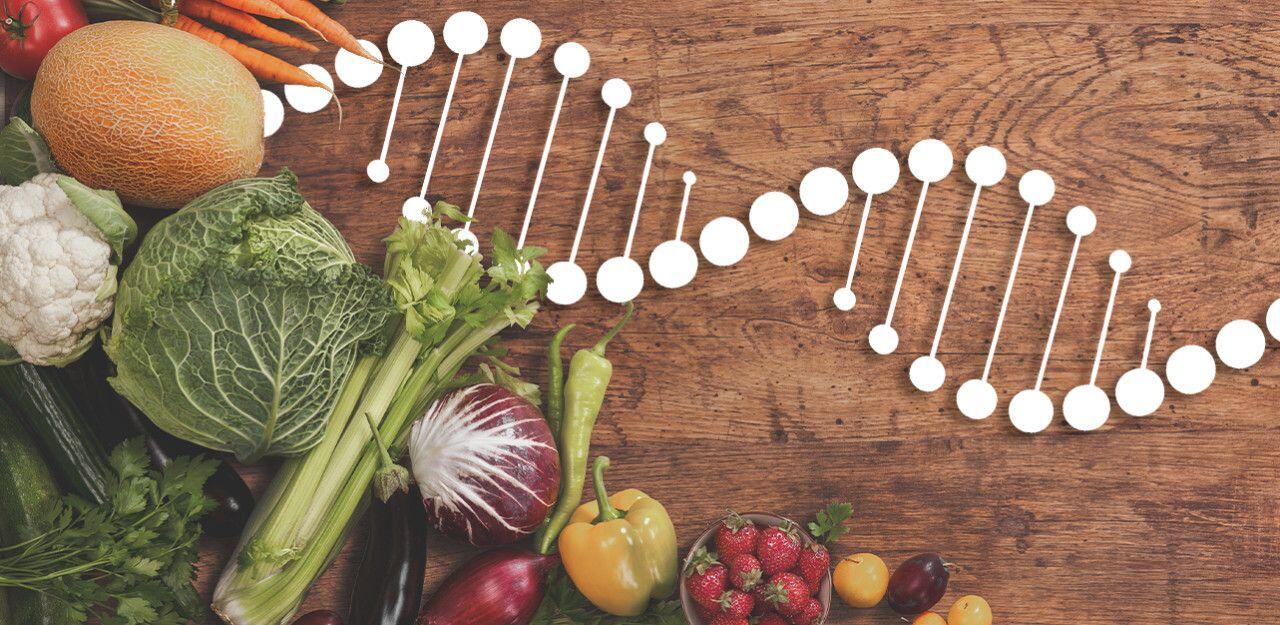 Nutrigenomik Işığında Ankara, İzlanda ve Singapur'da Genetik Diyet Adaptasyonları