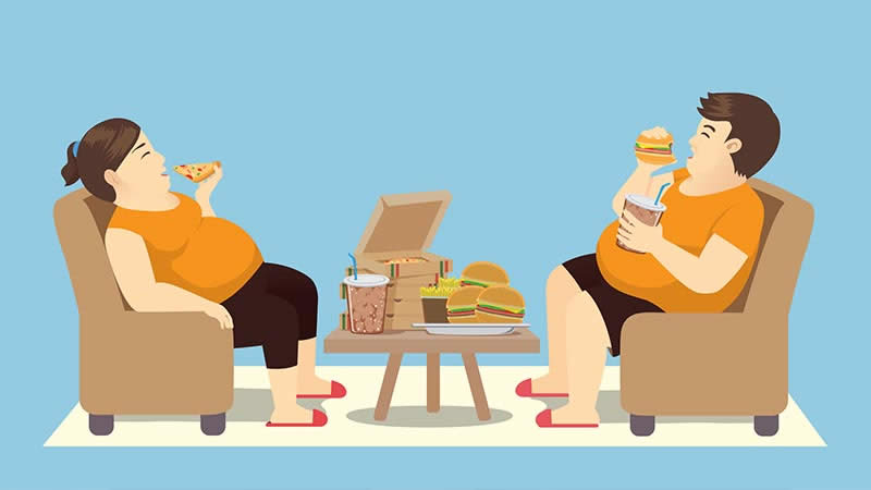 İsviçre'deki Türkler İçin Moleküler Beslenme ve Metabolik Sendromla Mücadele Rehberi